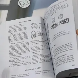 [MIỄN PHÍ BỌC SÁCH] Những Cây Thuốc Và Vị Thuốc Việt Nam - GS. TS Đỗ Tất Lợi 990368