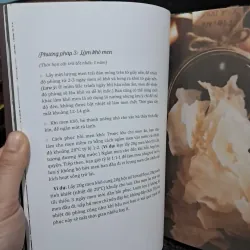 Sourdough Bread 1002818