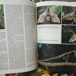 ENCYCLOPEDIA OF THE ANIMAL WORLD - BÁCH KHOA TOÀN THƯ VỀ THẾ GIỚI ĐỘNG VẬT (21 TẬP) 575435