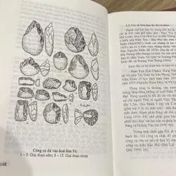 MÔI TRƯỜNG VÀ VĂN HÓA CUỐI PLEISTOCENE ĐẦU HOLOCENE Ở BẮC VIỆT NAM (XB 2004) 575558