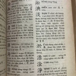HÁN VIỆT TỰ ĐIỂN (BÌA CỨNG) - THIỀN CHỬU 1019772