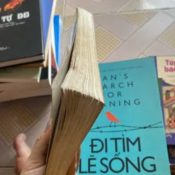 Đạo của vật lý  592906