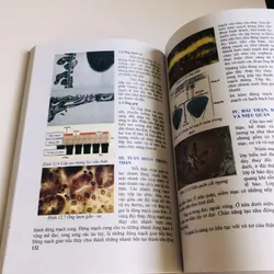 MÔ HỌC  2020 701980