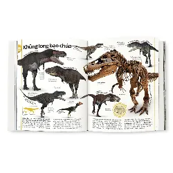 Khủng Long - DK 690114