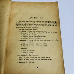 NHỮNG MẪU CÂU ANH NGỮ 416 trang, nxb: 1971  718067