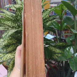 TỰ TRUYỆN HƯ VÂN HÒA THƯỢNG - CHÂU THỦY DỊCH THUẬT 1025709