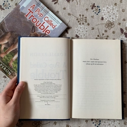 Sách ngoại văn A Pup Called Trouble, Used, Bìa cứng, Fiction For Young Adult 446629