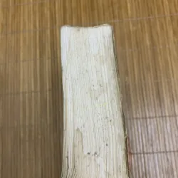 Bạch Lộc nguyên 2 tập - Trần Trung Thực 454790