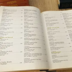 Pediatric Otolaryngology – Fourth Edition (Bộ 2 tập) 925810