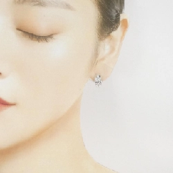 PT900 Bông tai kim cương - Hàng hiệu Authentic 862863