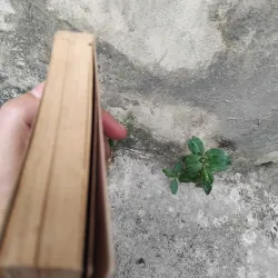Thiền học Trần Thái Tông của GS Nguyễn Đăng Thục  1019145