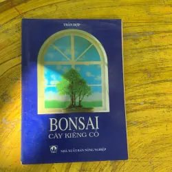  COMBO BONSAI CÂY DÁNG, THẾ VÀ NON BỘ & BONSAI CÂY KIỂNG CỔ 752666