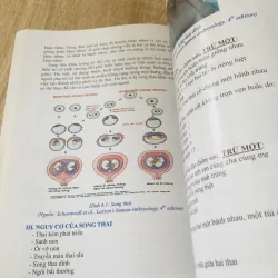 PHÔI THAI HỌC   996073