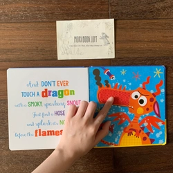 Sách ngoại văn Never Touch a Dragon – Sách sờ chạm, Used 542236