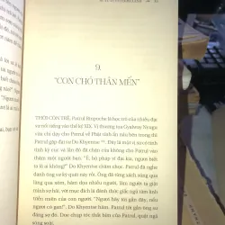 Sư tử tuyết bờm xanh - Surya Das 1021747