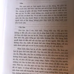 Tổng tập văn học các dân tộc thiểu số Việt Nam tập 2 711645