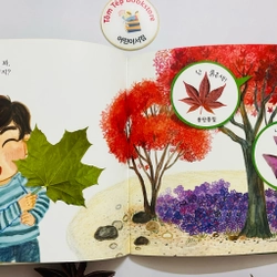 Set sách tiếng Hàn minh hoạ dễ thương bạn hổ 호비 470095