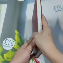 [MIỄN PHÍ BỌC SÁCH] [HIẾM] Góp Nhặt Xác Chữ Hồn Thơ Trịnh Công Sơn (Thư Pháp) - Trần Hữu Đãi 990506