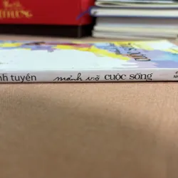 Mảnh vỡ cuộc sống 🌊 749444