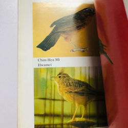 KỸ THUẬT NUÔI DẠY CÁC LOÀI CHIM 447862