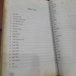 Chữa bệnh bằng cây thuốc Nam 800819