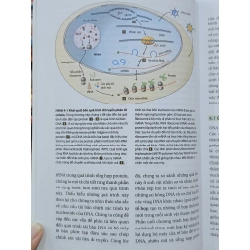 Sinh học phân tử của tế bào, Tập 2: Di truyền học và sinh học phân tử - Nhiều tác giả 506601