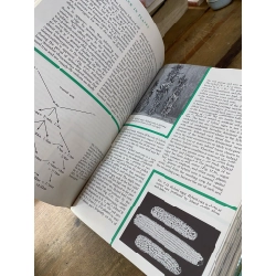 BOTANY, 3RD EDITION - CARL L. WILSON AND WALTER E. LOOMIS 319611