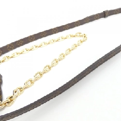 Ví Louis Vuitton Monogram trên dây chuyền M11306 túi đeo vai 610079