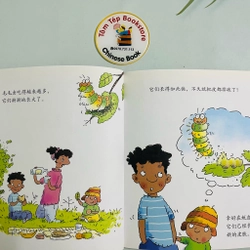 𝐒𝐞𝐭 𝐍𝐚𝐭𝐮𝐫𝐞'𝐬 𝐌𝐢𝐫𝐚𝐜𝐥𝐞 𝐁𝐨𝐨𝐤𝐬- tiếng Trung 496405