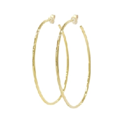 Bông tai Celine - Hàng hiệu Authentic