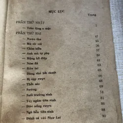 Cái cười của thánh nhân 993299