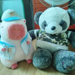 Gấu nêu size trên 40cm