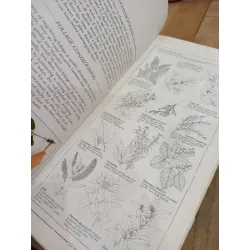 The creative art of flower arranging - Jan Hall 568434