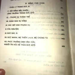 Đức Kyto suối mạch tình thương  957986