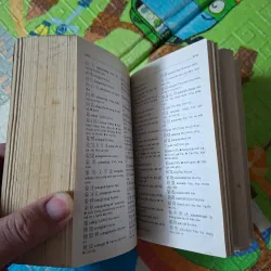 Từ Điển Trung - Việt 995067