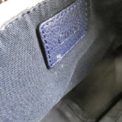 Túi xách PARAY 8HS891 043 của Chloe - Hàng hiệu Chính hãng 804446