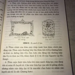 Phòng và trị bệnh theo phương pháp thực dưỡng Ohsawa 993723