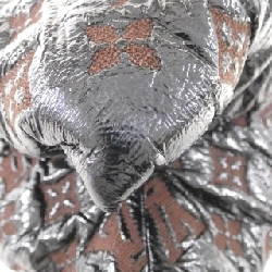 Túi xách vai Louis Vuitton Monogram Elvinil Squeech M95259 611392