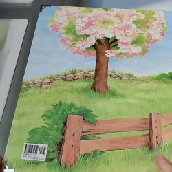 [Tặng nẹp góc] Truyện thiếu nhi Hàn Quốc: Moyamo Anu 32 -  모야모 아누와: 금화로 변한 어떤 꿈;. 거지의 죽음 732029