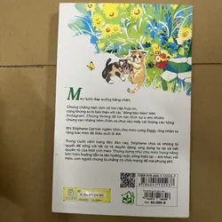 thong dong như chú mèo hóng nắng bên hiên  569514