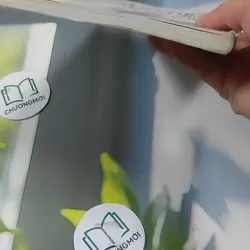 Nội Chiến Trong Gia Đình - Trần Thị Giông 727353