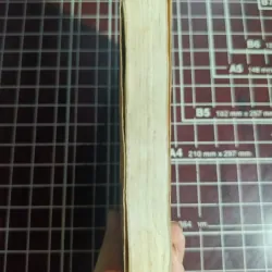 Đạo làm người trong tục ngữ ca dao Việt Nam - Nguyễn Nghĩa Dân 754622