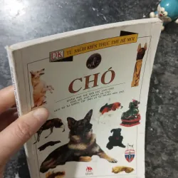 Sách Bách Khoa Tri Thức Bằng Hình: Loài Chó (NXB Kim Đồng) 1007223