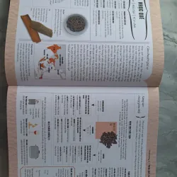 Khoa Học Về Gia Vị - Hiểu Các Kết Nối Hương Vị Và Cách Mạng Hóa Việc Nấu Ăn 604952