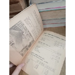 Việt Nam ý nghĩa của những con số