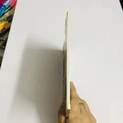 YẾN SÀO VÀ ĐỜI SỐNG CHIM YẾN HÀNG 749083