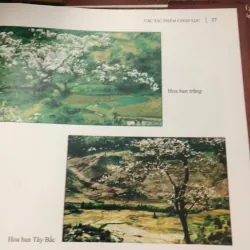 sách tranh - sách ảnh Các tác phẩm chọn lọc nhiều họa sĩ, nhiếp ảnh gia về thiên nhiên 1006709