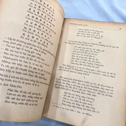 Giai thoại Làng Nho - Lãng Nhân 589159