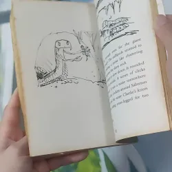 Dinopoo - Ciaran Murtagh 1033617