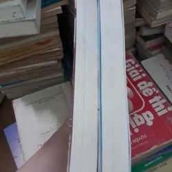 Thê vi thượng 1021279